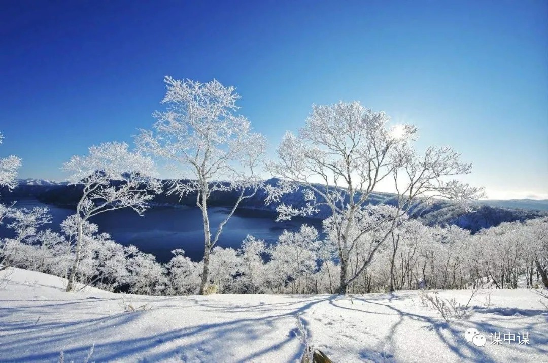 圖片12.webp.jpg