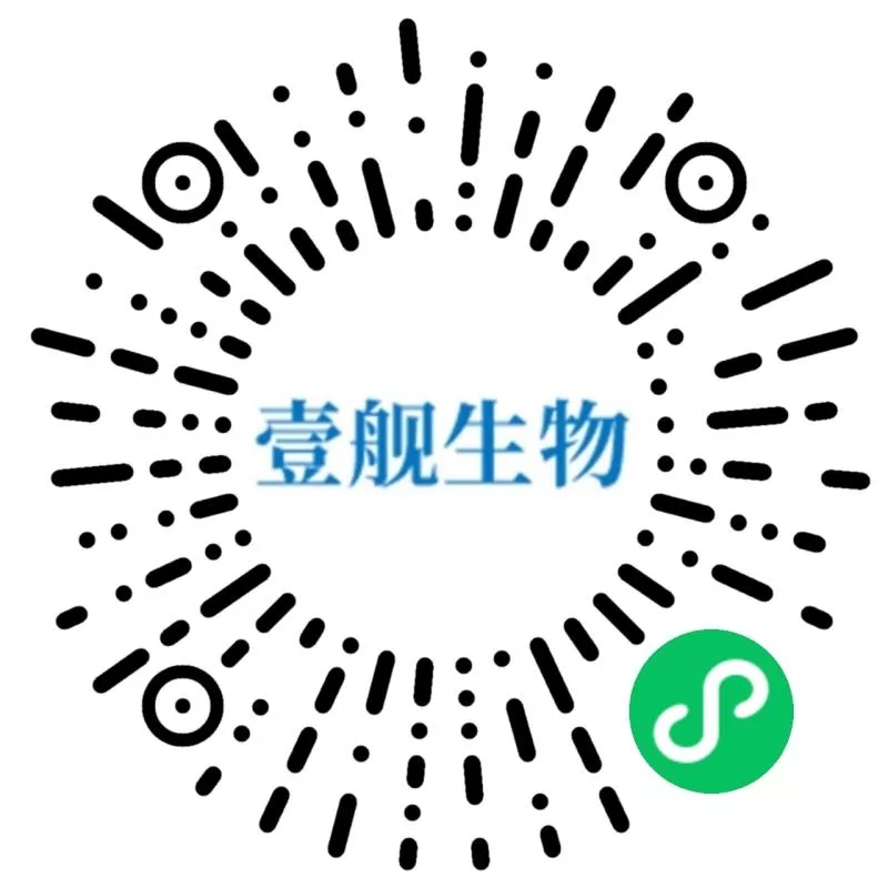 3.webp.jpg