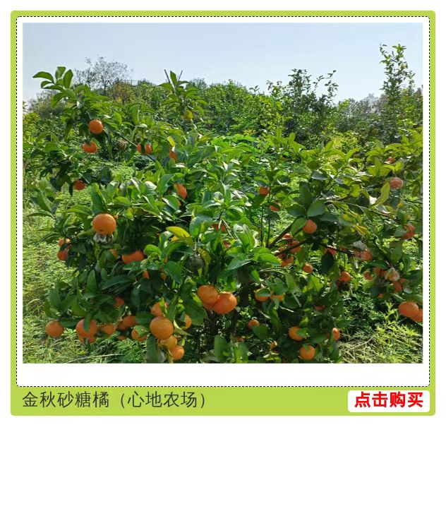 微信圖片_20231113141513.jpg